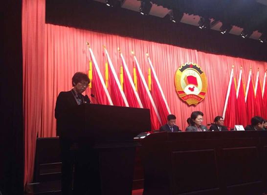 致公党市委副主委陈玄代表市委会作大会发言_副本.jpg