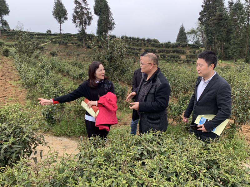 高慧与宜居乡村领导交流.jpg