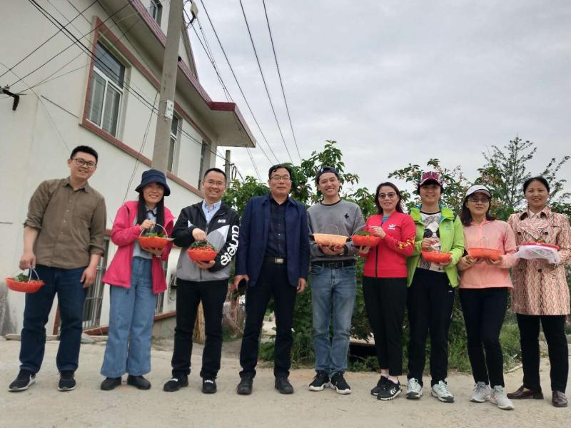 2019-05-08（牛凯)致公党连云港市新浦一直播开展摘樱桃活动1.jpg
