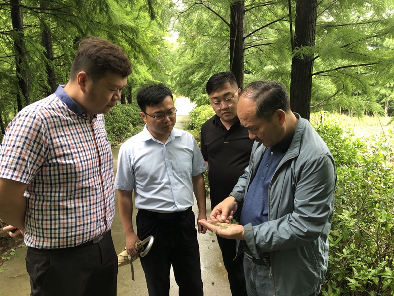 微信图片_20200619153335_副本.jpg